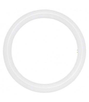 Tube LED circular T9 20 W de Roblan