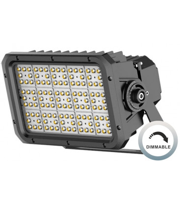 Proyector industrial LED ARENA X 200W de ROBLAN