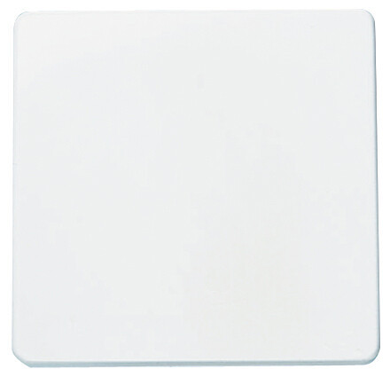 2201 BA INTERRUPTOR BLANCO ALPINO