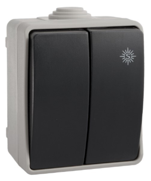 3313 DOBLE CONMUTADOR/INTERRUPTOR ESTANCO IP54 SOLERA